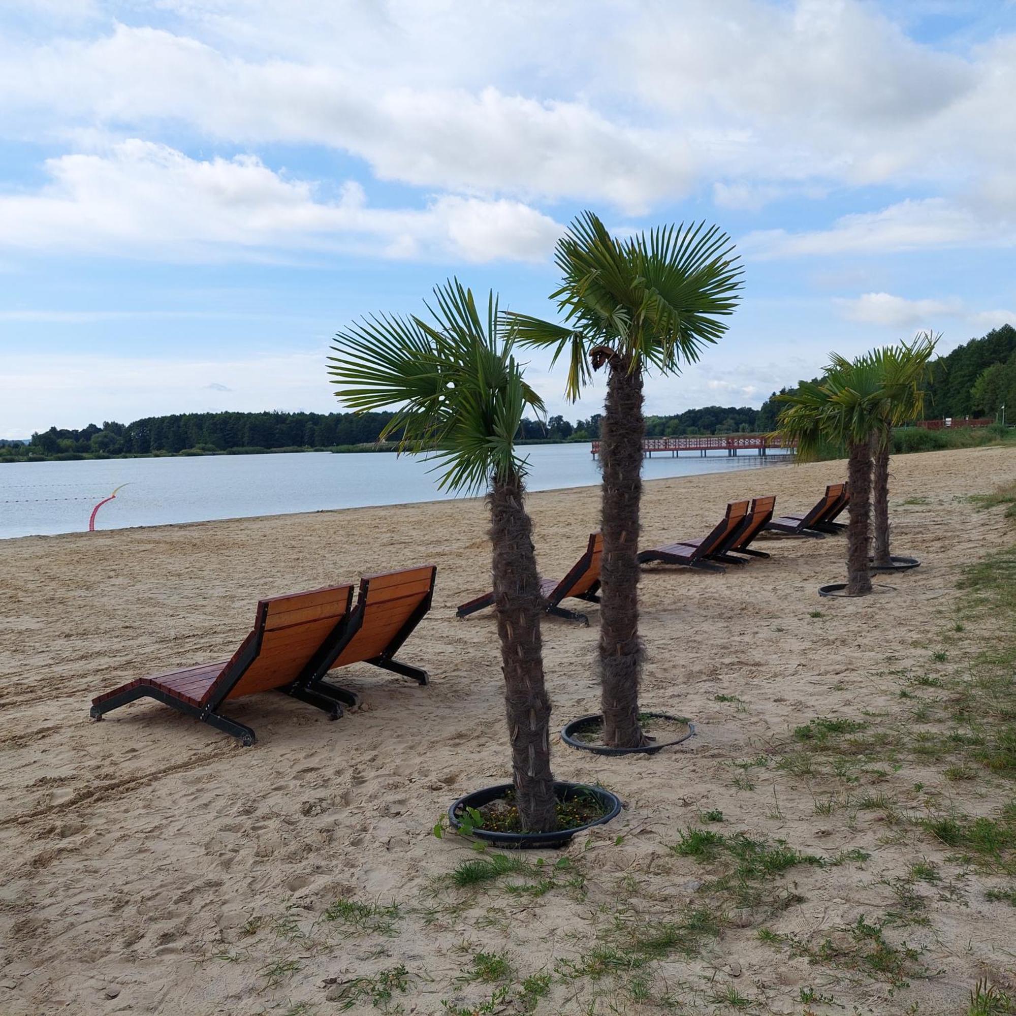 Apartament Turysty Zamczysko Zamość 外观 照片